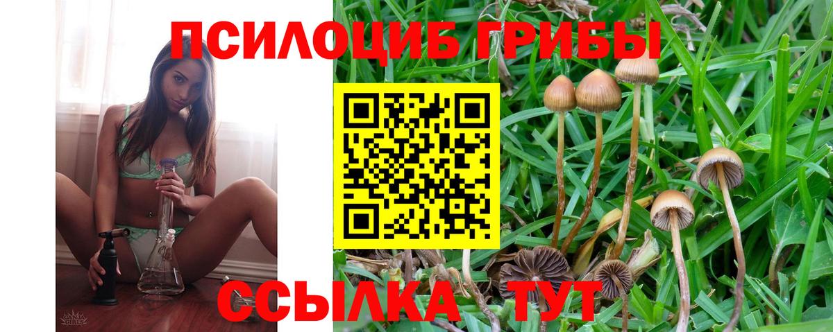 Похвистнево  Псилоцибиновые грибы ЛСД  Вход с VPN 